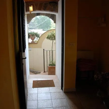 Agrifoglio 3*
